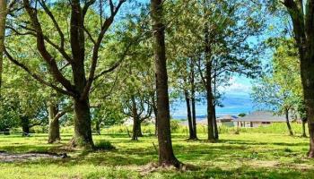 26 Kula Hwy   - photo 1 of 35