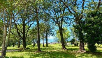 26 Kula Hwy Lower Kula  - photo 5 of 35