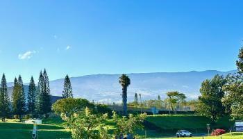 26 Kula Hwy Lower Kula  - photo 6 of 35