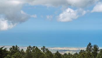 2611  Olinda Rd , Makawao/Olinda/Haliimaile home - photo 2 of 50