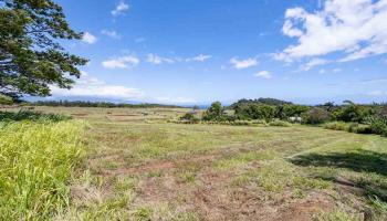 262 Hekuawa St B Haiku, Hi vacant land for sale - photo 6 of 11