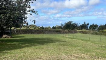 263  Kolohala Dr Kealahou Farm Lots, Kula/Ulupalakua/Kanaio home - photo 3 of 50