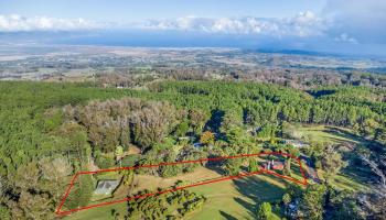 2640  Olinda Rd Olinda, Makawao/Olinda/Haliimaile home - photo 4 of 49