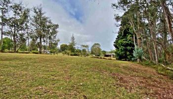 2645 Olinda Rd  Makawao, Hi vacant land for sale - photo 3 of 30