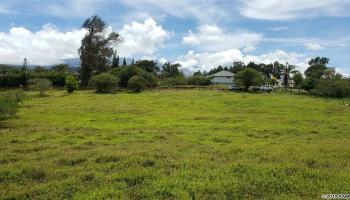 2650 Poko Pl  Haiku, Hi vacant land for sale - photo 5 of 6