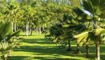 2651  Kalanikahua Rd Baldwin Subdivision, Haiku home - photo 5 of 22