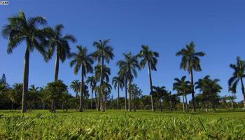 2651  Kalanikahua Rd Baldwin Subdivision, Haiku home - photo 6 of 22
