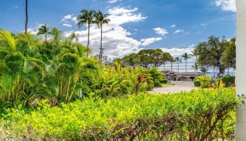 Maui Parkshore condo # 105, Kihei, Hawaii - photo 4 of 50