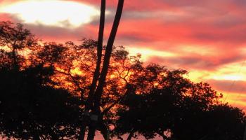 Maui Parkshore condo # 216, Kihei, Hawaii - photo 4 of 30