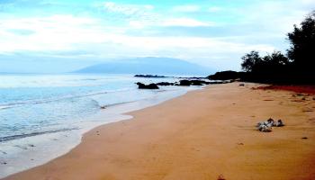 Maui Parkshore condo # 309, Kihei, Hawaii - photo 4 of 29