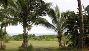 2660 Hana Hwy  Hana, Hi vacant land for sale - photo 6 of 11