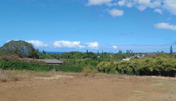 2676  Kalanikahua Rd Portion/grant 121, Haiku home - photo 4 of 18