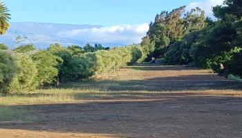 2676  Kalanikahua Rd Portion/grant 121, Haiku home - photo 6 of 18