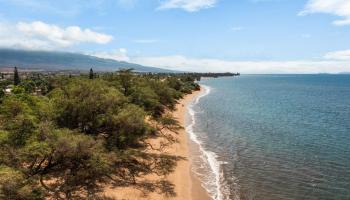 27  Nanialii Pl North Kihei, Kihei home - photo 4 of 42
