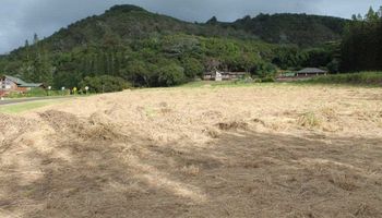 2711 Kamaile St 135 Wailuku, Hi vacant land for sale - photo 3 of 22
