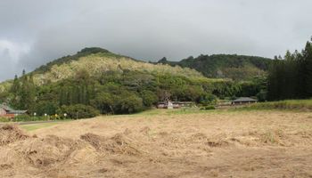 2711 Kamaile St 135 Wailuku, Hi vacant land for sale - photo 6 of 22