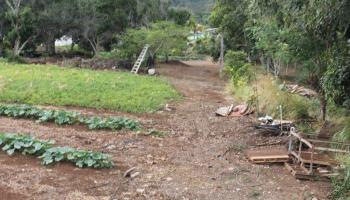 272 Maika St  Wailuku, Hi vacant land for sale - photo 5 of 30