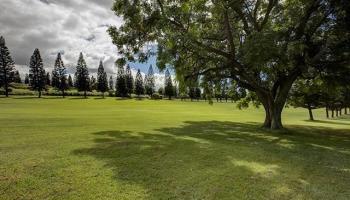 Liholani Golf Villas condo # 10, Makawao, Hawaii - photo 2 of 13