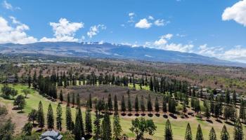 Liholani Golf Villas condo # 10, Pukalani, Hawaii - photo 4 of 50