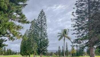 Liholani Golf Villas condo # #3, Makawao, Hawaii - photo 3 of 35
