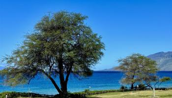 Kihei Shores condo # B-306, Kihei, Hawaii - photo 2 of 19