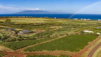 2751 Aina Mahi'ai Rd #33 Lahaina, Hi vacant land for sale - photo 3 of 12