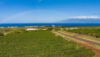 2751 Aina Mahi'ai Rd #33 Lahaina, Hi vacant land for sale - photo 5 of 12