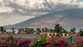 Paradise Ridge Estates condo # 202, Kihei, Hawaii - photo 2 of 48