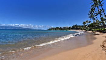 Napili Bay condo # 214, Lahaina, Hawaii - photo 1 of 50