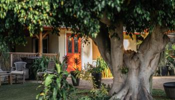 2833  Ohina St , Kihei home - photo 3 of 32