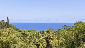 285  Kalo Rd , Hana home - photo 2 of 42