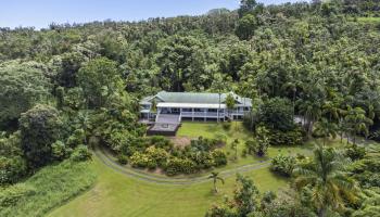 285  Kalo Rd , Hana home - photo 3 of 42