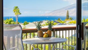 2871  Ohina St South Kihei, Kihei home - photo 6 of 50