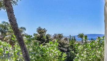Maui Hill condo # 55, Kihei, Hawaii - photo 6 of 43
