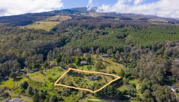 29  Makanani Rd Olinda, Makawao/Olinda/Haliimaile home - photo 4 of 25