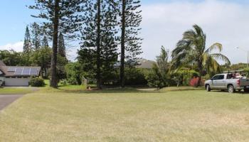 29  Mikiola St Makawao Highlands, Makawao/Olinda/Haliimaile home - photo 5 of 24