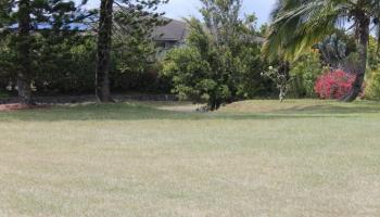 29  Mikiola St Makawao Highlands, Makawao/Olinda/Haliimaile home - photo 6 of 24