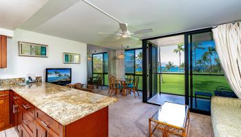 Kihei Surfside condo # 212, Kihei, Hawaii - photo 5 of 30