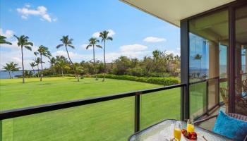 Kihei Surfside condo # 213, Kihei, Hawaii - photo 4 of 48