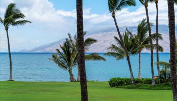 Kihei Surfside condo # 213, Kihei, Hawaii - photo 4 of 47