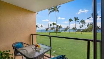 Kihei Surfside condo # 213, Kihei, Hawaii - photo 5 of 47