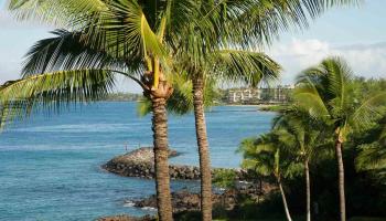 Kihei Surfside condo # 511, Kihei, Hawaii - photo 2 of 20