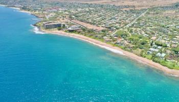 Mana Kai condo # 209, Kihei, Hawaii - photo 4 of 43