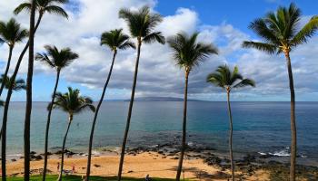 Mana Kai condo # 303, Kihei, Hawaii - photo 3 of 27