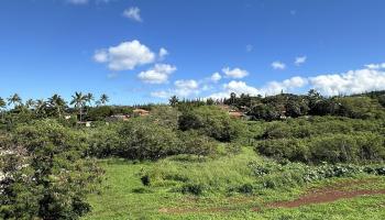 298 Hui F Rd  Lahaina, Hi vacant land for sale - photo 2 of 16