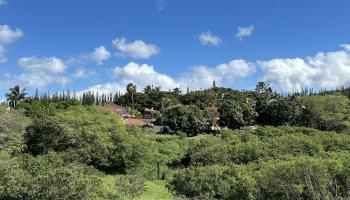 298 Hui F Rd  Lahaina, Hi vacant land for sale - photo 4 of 16