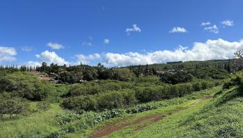 298 Hui F Rd  Lahaina, Hi vacant land for sale - photo 6 of 16