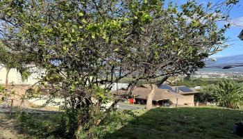 299  Liholiho St Puuone, Wailuku home - photo 4 of 9