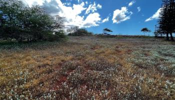 30 Kaiaka Rd 82 Maunaloa, Hi vacant land for sale - photo 1 of 8