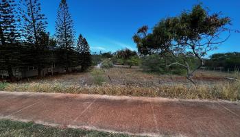 30 Kaiaka Rd 82 Maunaloa, Hi vacant land for sale - photo 2 of 8